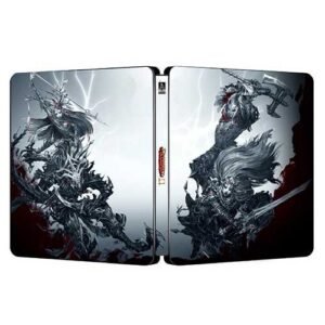 Divinity Original Sin 2 Steelbook | FantasyBox